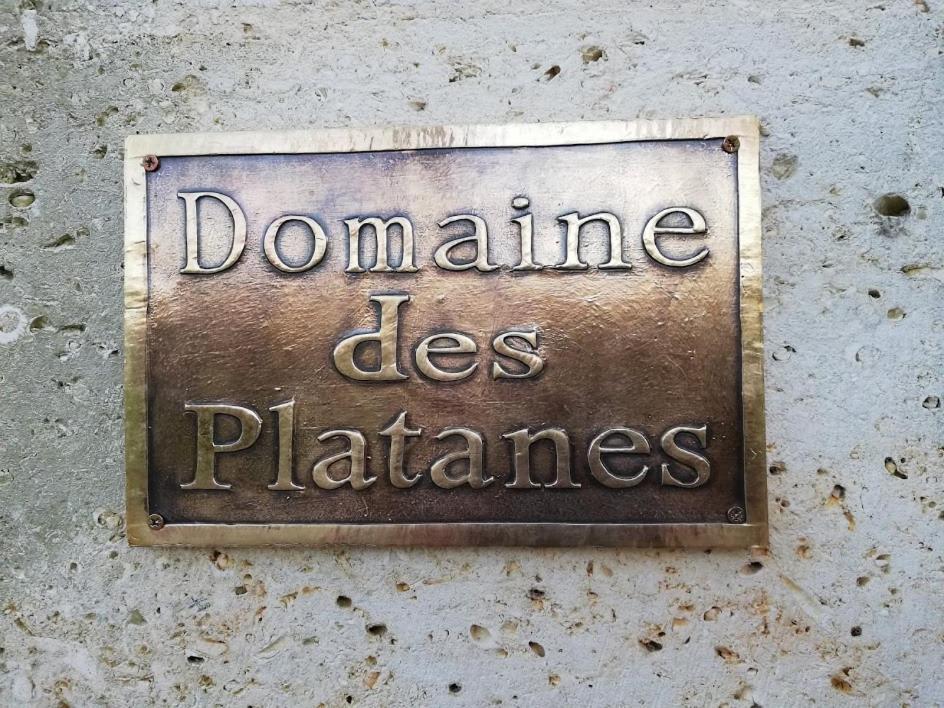 Le Domaine Des Platanes Bed & Breakfast Bourg-Charente Exterior foto
