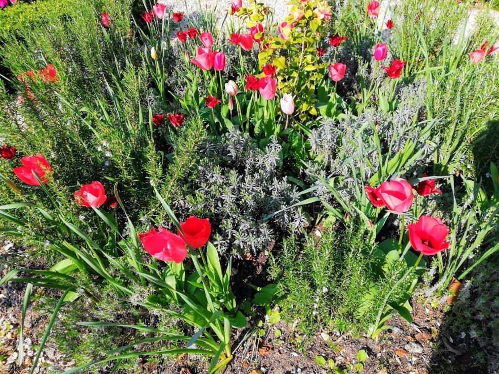 Le Domaine Des Platanes Bed & Breakfast Bourg-Charente Exterior foto