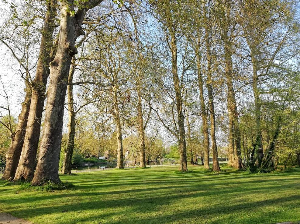 Le Domaine Des Platanes Bed & Breakfast Bourg-Charente Exterior foto